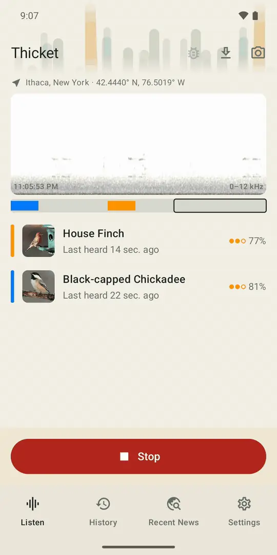 A House Finch's page: its photo, a clip played back, the detection confirmed, the Seen switch turned on and the Mute or snooze choices opened.