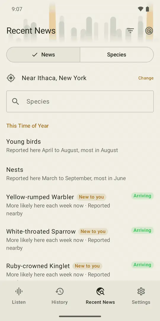 Recent News near Ithaca, New York, scrolling through birds arriving, at their peak and leaving, then the top locations marked Rare.