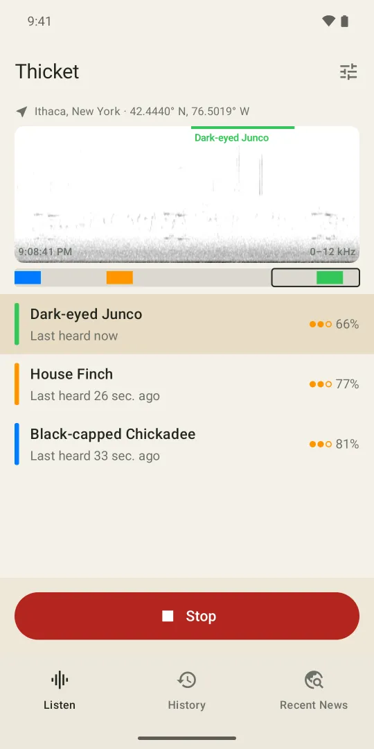 Thicket's Listen screen: a spectrogram with a Dark-eyed Junco's call marked in green, and below it Dark-eyed Junco, House Finch and Black-capped Chickadee with how sure the app is of each.